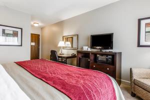 Las mejores ofertas de Comfort Inn & Suites Near Lake Guntersville Scottsboro