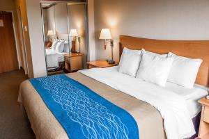 Las mejores ofertas de COMFORT INN & SUITES Ocean Shores
