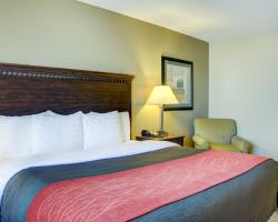 Las mejores ofertas de COMFORT INN & SUITES Russellville