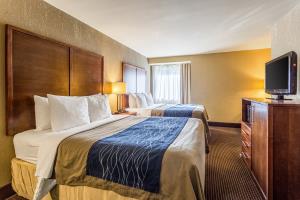 Las mejores ofertas de Comfort Inn Tupelo Tupelo