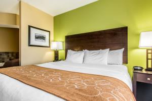 Las mejores ofertas de COMFORT SUITES Jackson