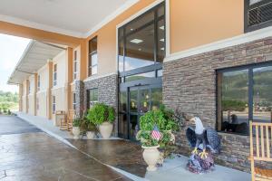 Las mejores ofertas de COMFORT INN Pioneer