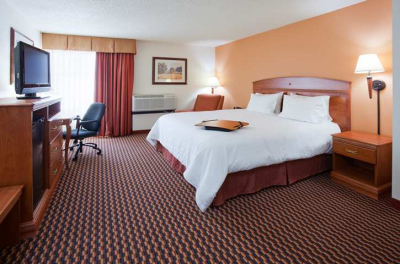 Las mejores ofertas de Hampton Inn Rochester Rochester