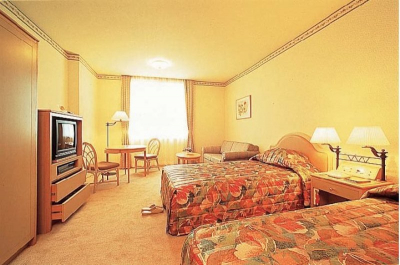 Las mejores ofertas de PALACE HOTEL HAKONE Hakone
