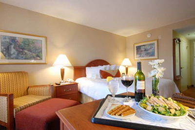 Las mejores ofertas de HILTON GARDEN INN ALBUQUERQUE NORTH/RIO RANCHO Rio Rancho 