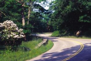 Las mejores ofertas de SKYLAND RESORT Durham