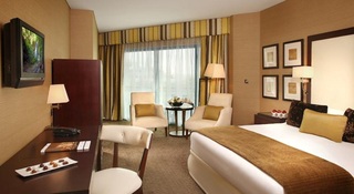 Las mejores ofertas de RODA AL BUSTAN DUBAI AIRPORT HOTEL Dubai