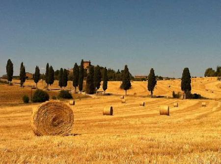 Las mejores ofertas de Hotel Panoramic Montepulciano