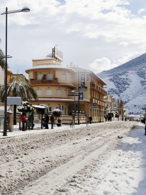 Las mejores ofertas de DON GONZALO Cenes De La Vega