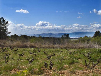 Las mejores ofertas de Mas Can Ros Aiguamúrcia