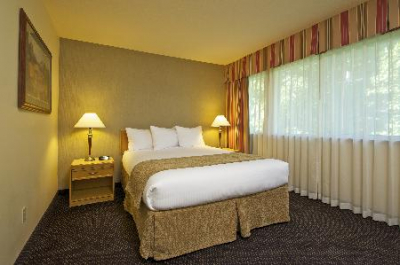 Las mejores ofertas de COAST TSAWWASSEN INN - SUPERIOR DELTA