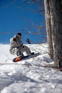 Las mejores ofertas de Blue Mountain Inn Collingwood