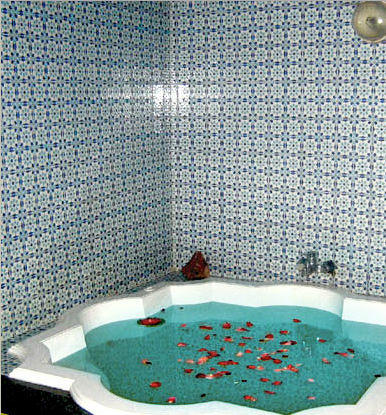 Las mejores ofertas de Sol Melia Phebus gammarth