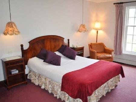 Las mejores ofertas de Knipoch OBAN