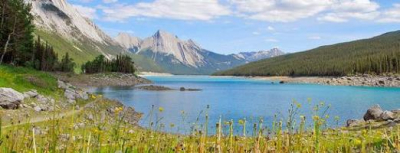 Las mejores ofertas de CRIMSON HOTEL Jasper