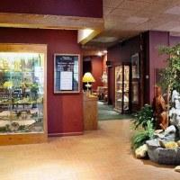 Las mejores ofertas de CHESTNUT TREE INN Cherokee