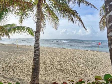 Las mejores ofertas de Coral Costa Caribe All Inclusive Beach Resort Juan Dolio