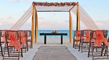 Las mejores ofertas de Tukan Rivera Maya