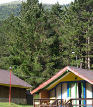 Las mejores ofertas de Llogora Tourist Village Vlora
