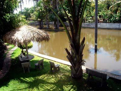 Las mejores ofertas de Pousada Do Buriti Barreirinha