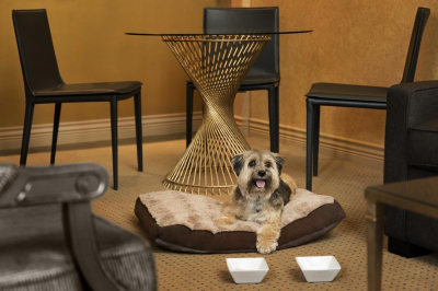 Las mejores ofertas de Executive Le Soleil NORTH VANCOUVER