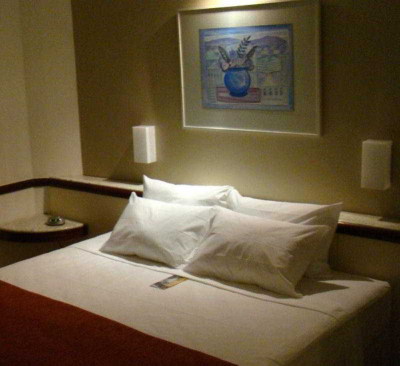 Las mejores ofertas de BRISTOL MERIT HOTEL Belo Horizonte 