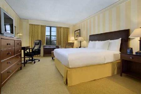 Las mejores ofertas de Hilton Mystic Mystic 