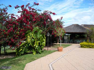Las mejores ofertas de Fazenda Do Betione Campo Grande