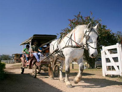 Las mejores ofertas de Fazenda Hipica Atibaia Hotel Atibaia