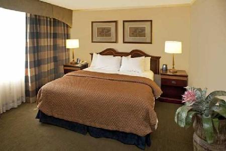 Las mejores ofertas de Embassy Suites Baltimore - at Bwi Airport Linthicum