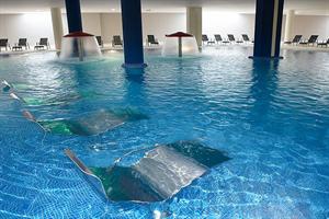 Las mejores ofertas de Fergus Style Nauitc Park & Spa Platja d Aro