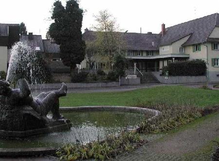 Las mejores ofertas de TRAUBE Offenberg