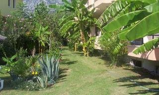 Las mejores ofertas de Margarita Kumluca