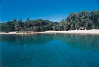 Las mejores ofertas de RESIDENCE IL MIRTO Olbia 