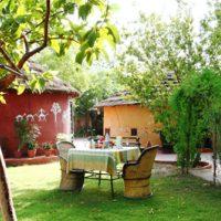 Las mejores ofertas de MANDORE GUEST HOUSE -(PURE VEGETARIAN HOTEL) Jodhpur 