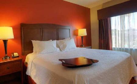 Las mejores ofertas de HAMPTON INN SUITES MCALLEN, TX Mcallen 