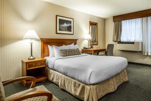 Las mejores ofertas de Inn of Chicago Chicago