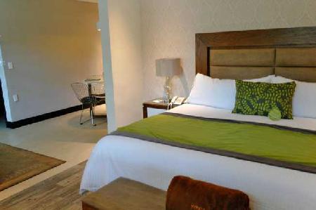Las mejores ofertas de Aurea Hotel & Suites Guadalajara 