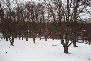 Las mejores ofertas de Eras Del Robelano Casillas