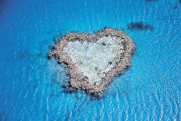 Las mejores ofertas de Beach Club Hamilton Island Whitsunday Islands