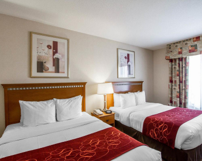 Las mejores ofertas de Comfort Suites Univ. of Phoenix Stadium Area Glendale 