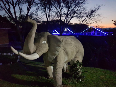 Las mejores ofertas de Los Cedros Eco Resort Santa Cruz