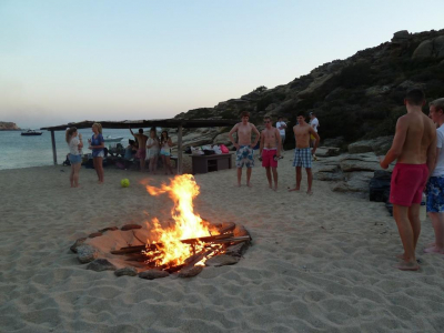 Las mejores ofertas de Paradise Ios