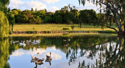Las mejores ofertas de Zulu Nyala Country Manor Johannesburgo