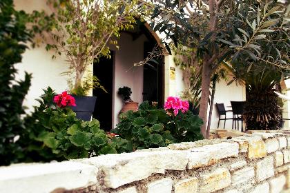 Las mejores ofertas de AVEROF Nicosia