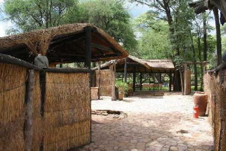 Las mejores ofertas de Sikumi Tree Lodge Hwange 