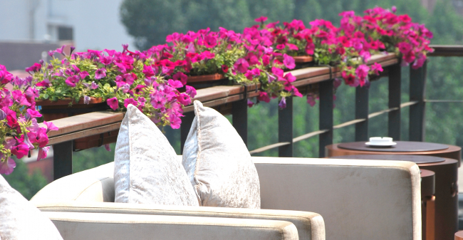 Las mejores ofertas de Gotel Capital Pekin