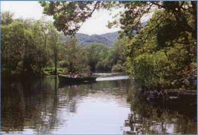 Las mejores ofertas de Hillcrest Farmhouse KERRY