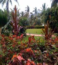 Las mejores ofertas de Whitsunday Holiday Apartments Whitsunday Islands