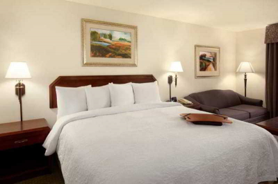 Las mejores ofertas de Hampton Inn & Suites San Marcos, Tx San Marcos